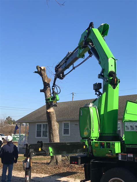 With a maximum cutting diameter of 20 inches, you can fell almost any tree. . Grapple saw tree removal